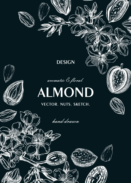 Almond nut frame, spring design on chalkboard. Blooming branches, nuts, flower sketches. Hand-drawn vector illustration. Greeting card or invitation template .  NOT AI generated